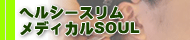 岩手県 奥州市 水沢区/ヘルシースリムメディカルSOUL